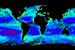 NASA Ocean Color