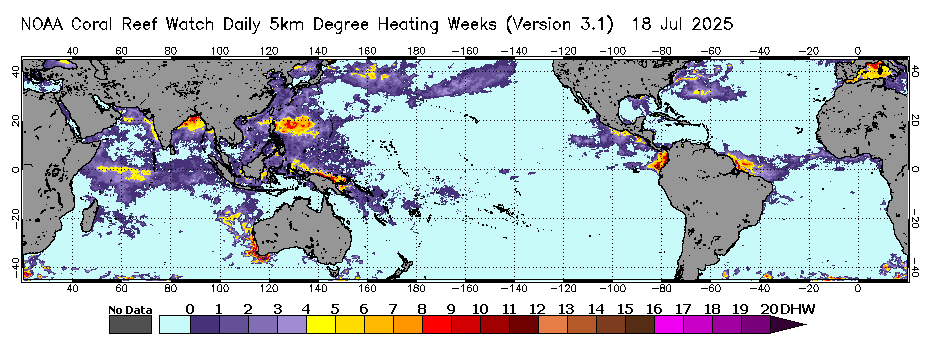 Global Coral Bleaching Heat Stress Degree Heating Week image