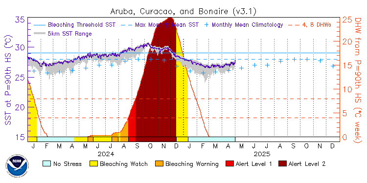 current SST time series