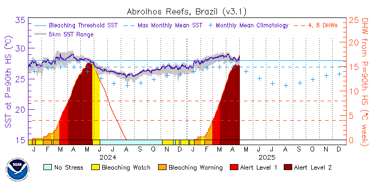 current SST time series