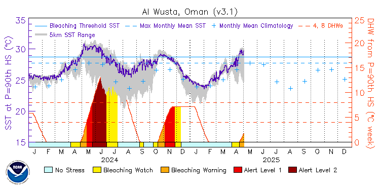 current SST time series