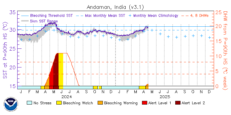 current SST time series