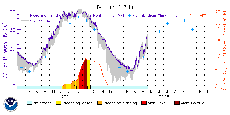 current SST time series