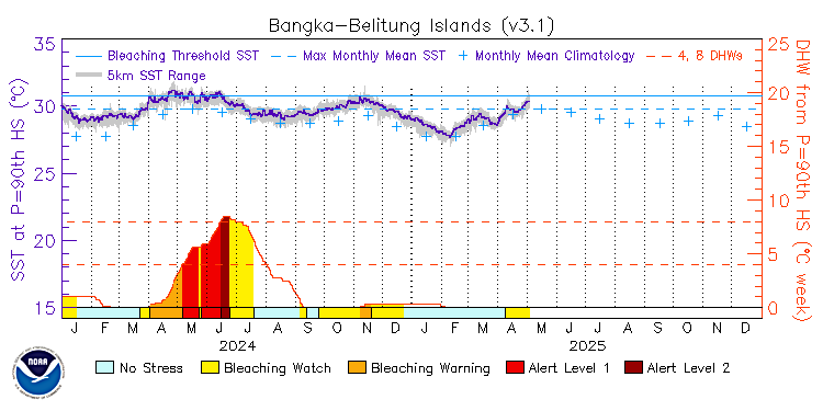 current SST time series