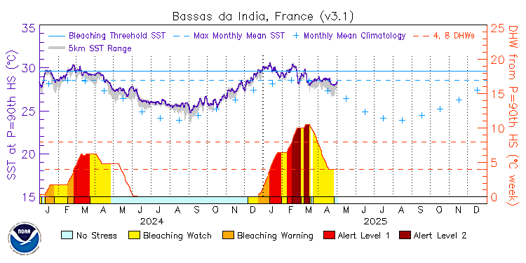 current SST time series