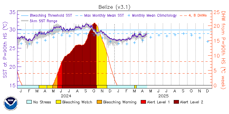 current SST time series