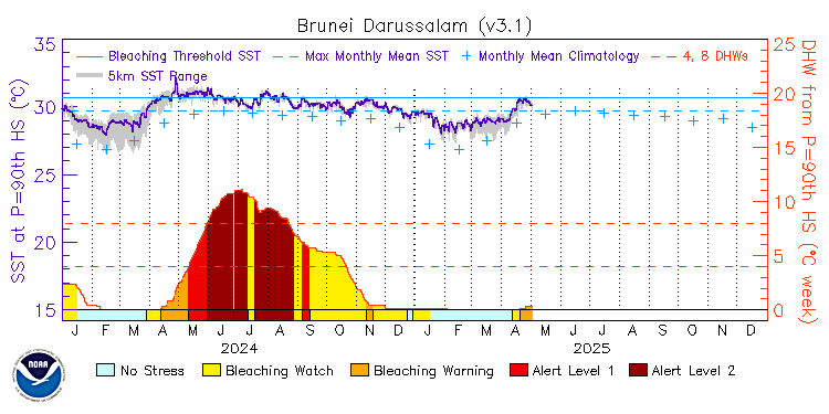 current SST time series