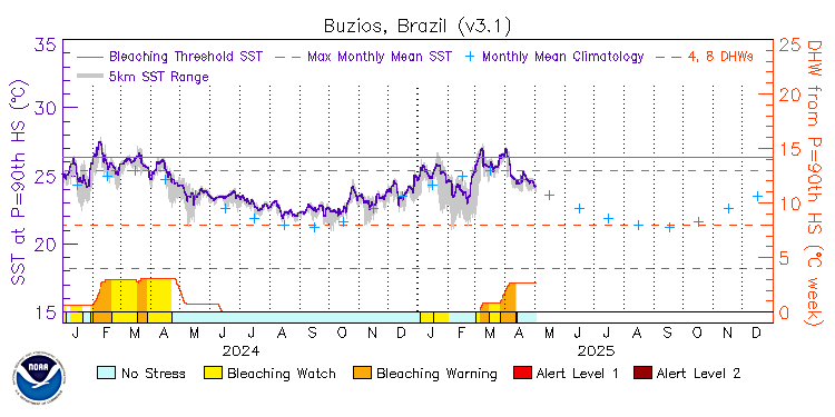 current SST time series