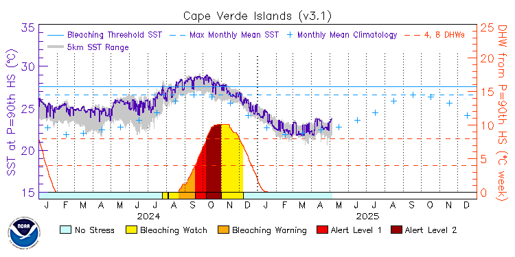 current SST time series