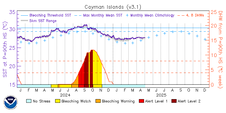 current SST time series