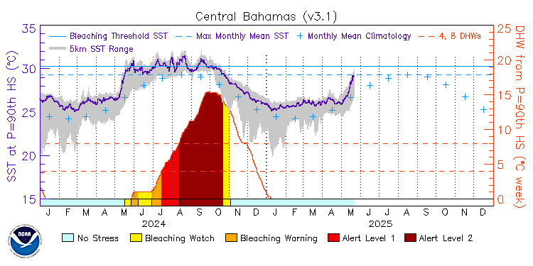 current SST time series