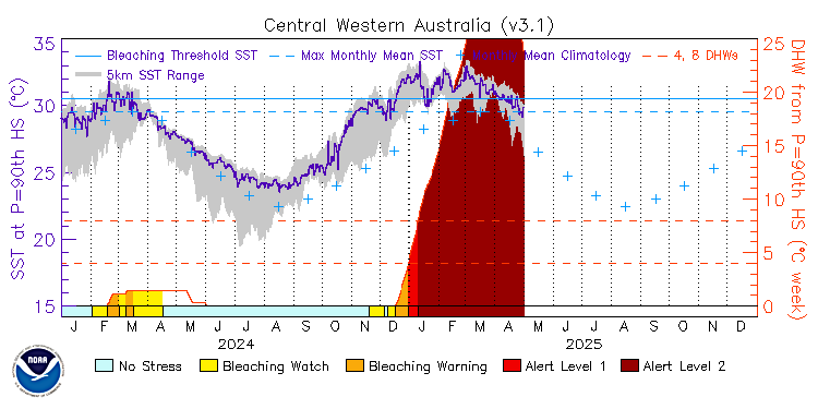 current SST time series