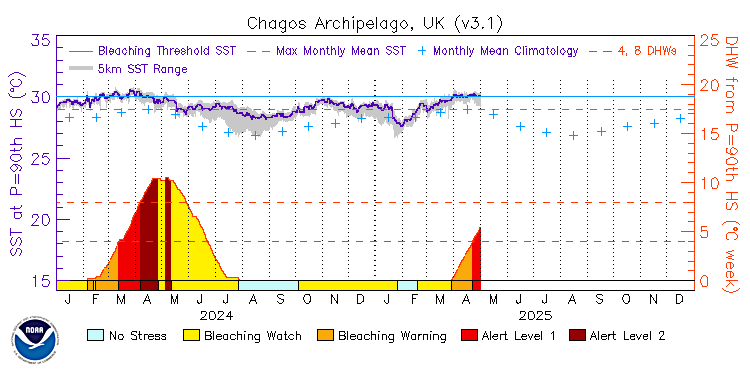 current SST time series