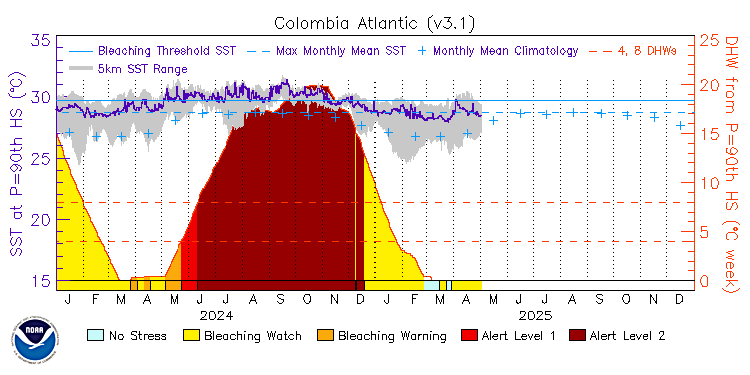 current SST time series