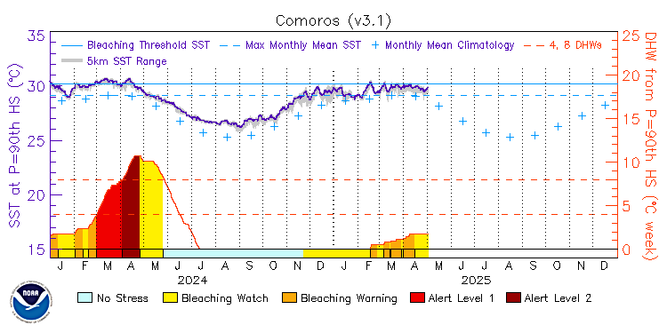 current SST time series