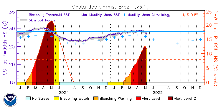 current SST time series