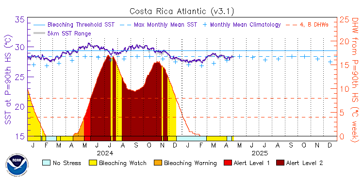 current SST time series