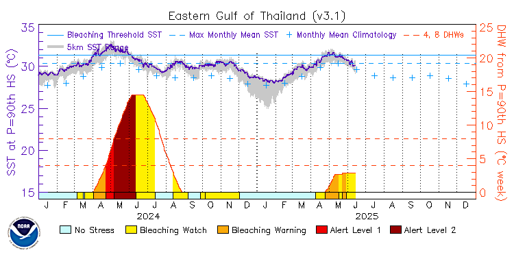 current SST time series