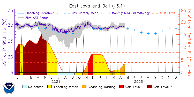 current SST time series