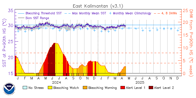 current SST time series