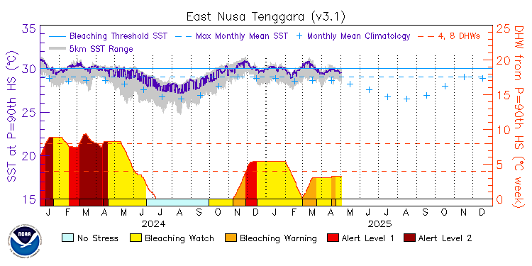 current SST time series