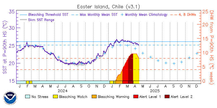 current SST time series