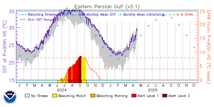 current SST time series