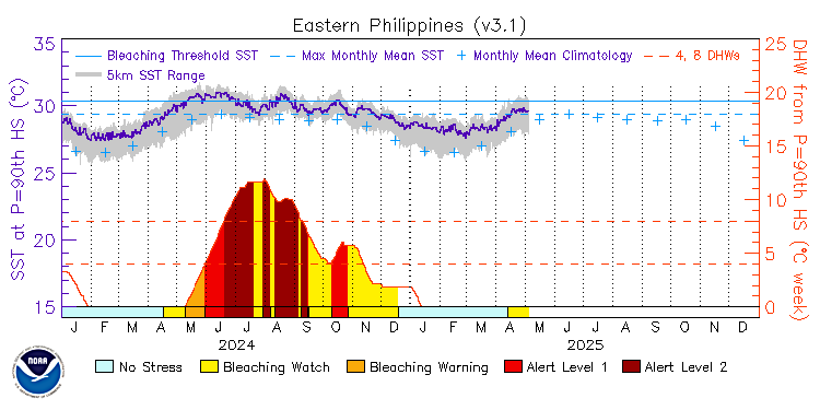 current SST time series