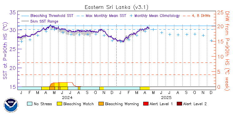 current SST time series