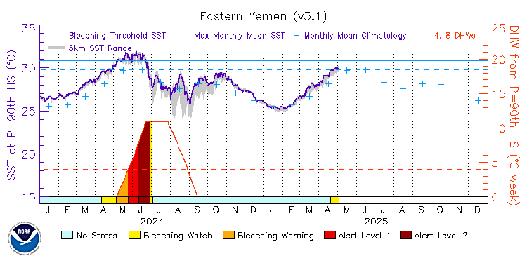 current SST time series