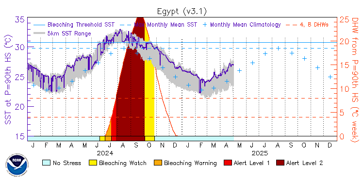 current SST time series