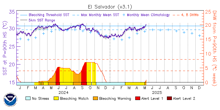 current SST time series