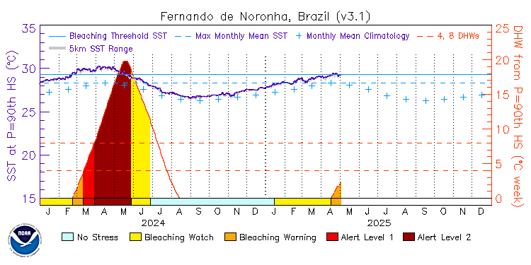 current SST time series