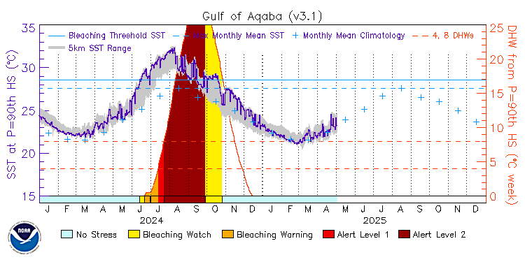 current SST time series