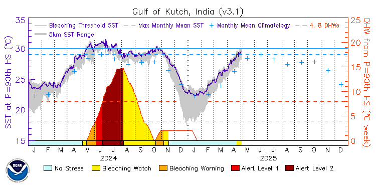 current SST time series