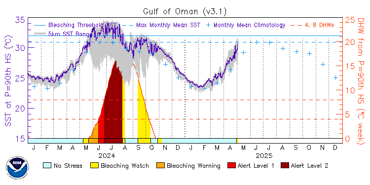 current SST time series