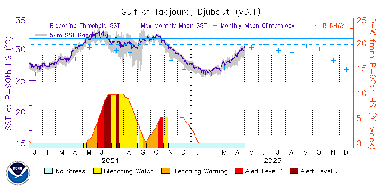 current SST time series