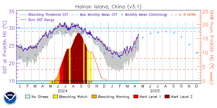 current SST time series