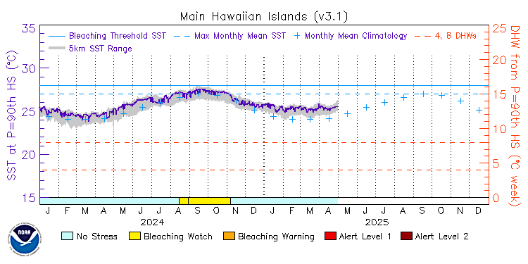 current SST time series