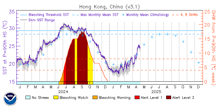 current SST time series