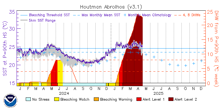 current SST time series