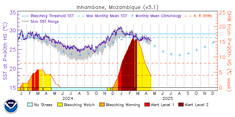 current SST time series