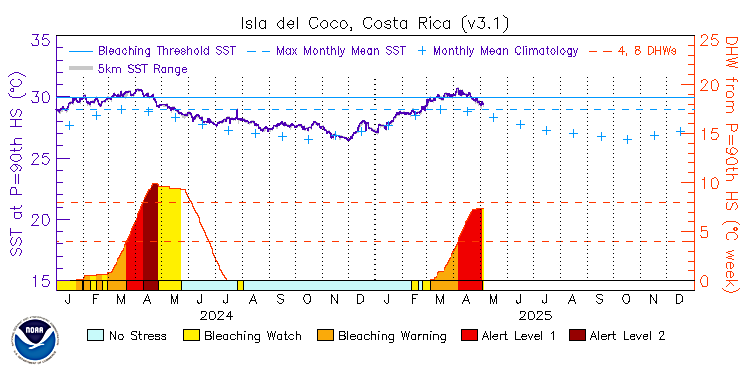 current SST time series