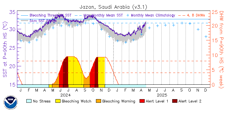 current SST time series