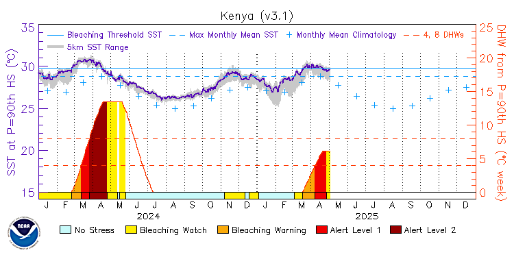 current SST time series