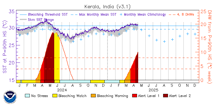 current SST time series