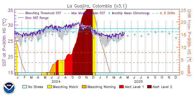 current SST time series