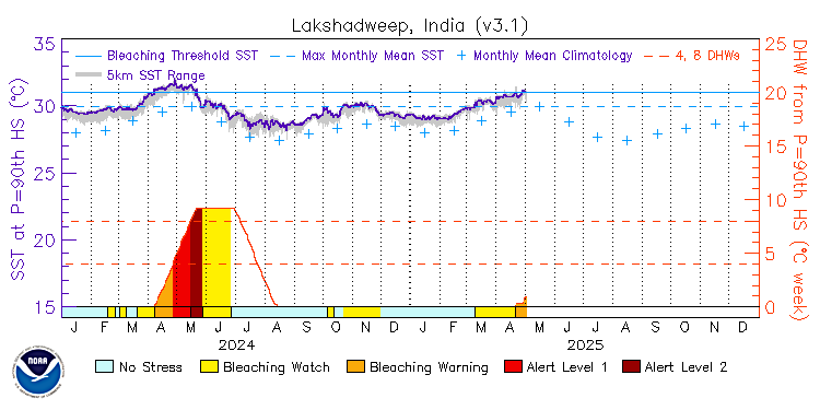 current SST time series