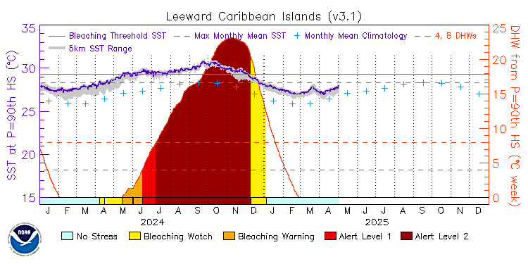 current SST time series