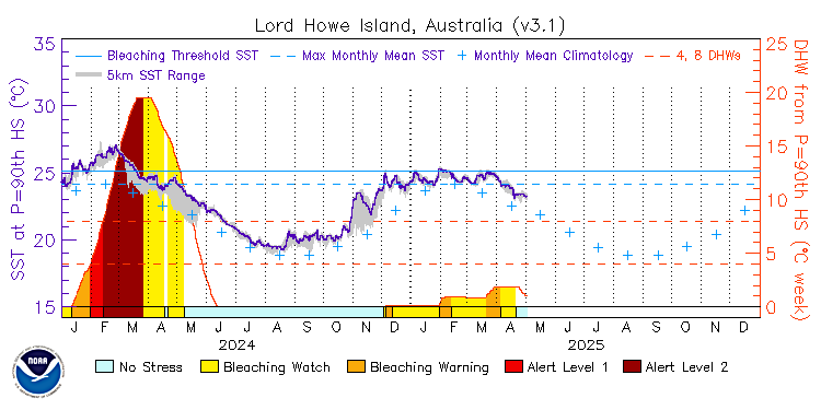 current SST time series